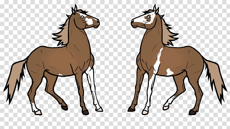 Mustang Foal Pony Cartoon Mare, Mane, Line Art, Silhouette, Drawing, Horse, Animal Figure, Stallion transparent background PNG clipart
