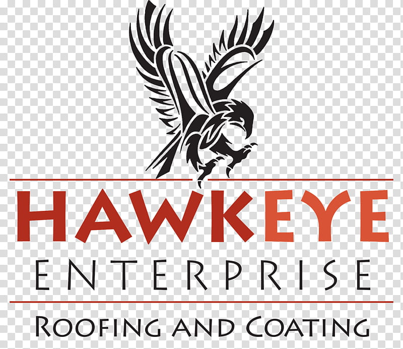Bird Logo, Roof Coating, Beak, Text, Wing, Line, Black And White
, Area transparent background PNG clipart