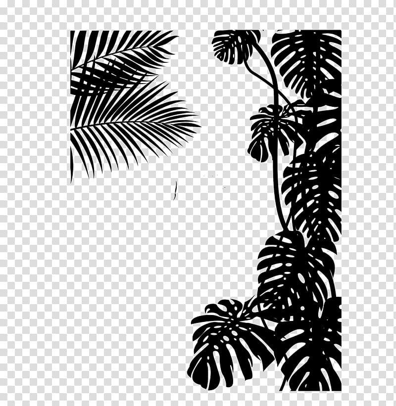 Cartoon Palm Tree, Palm Trees, Black White M, Pine, Line, Leaf, Pine Family, Black M transparent background PNG clipart