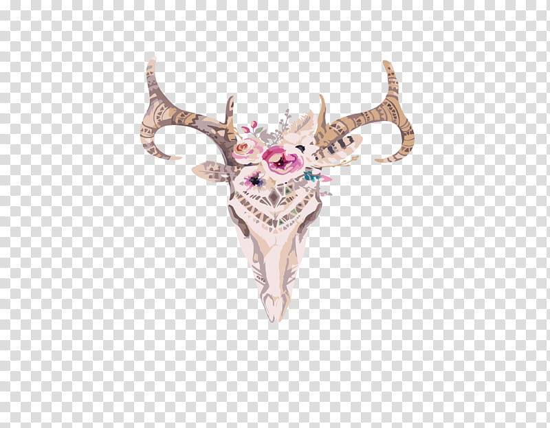 Floral Flower, Skull Art, Deer, Antler, Drawing, Floral Design, Painting, Mule Deer transparent background PNG clipart