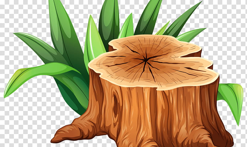 25230 Tree Trunk Sketch Images Stock Photos  Vectors  Shutterstock