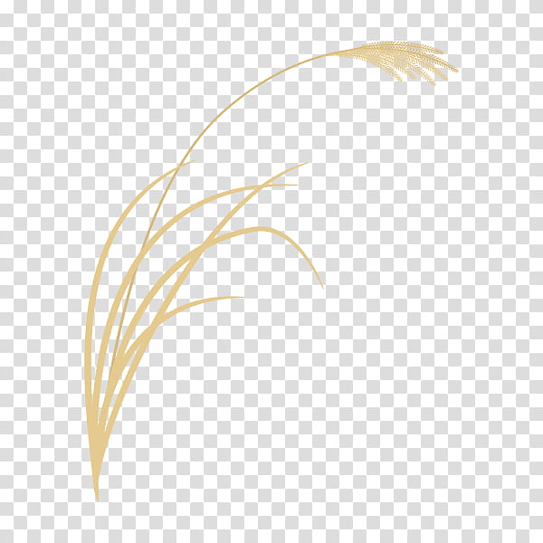 Family Silhouette, Chinese Silver Grass, Text, Pampas Grass, Grasses, Plants, Grassland, Feather transparent background PNG clipart