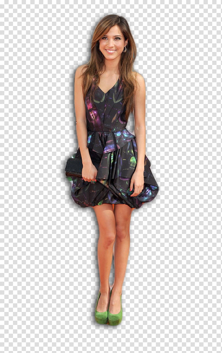 Kelsey Chow transparent background PNG clipart