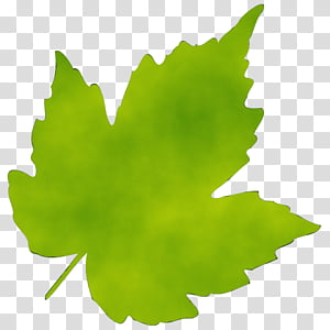 Green Leaf Watercolor, Paint, Wet Ink, Silhouette, Drawing, Video, Hashtag, Tree transparent background PNG clipart thumbnail