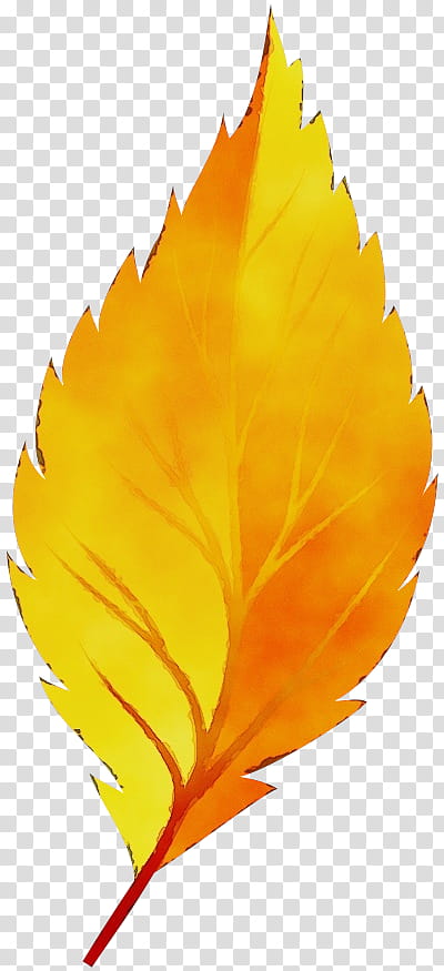Autumn Leaf Drawing, Watercolor, Paint, Wet Ink, Autumn Leaf Color, Green, Orange, Yellow transparent background PNG clipart