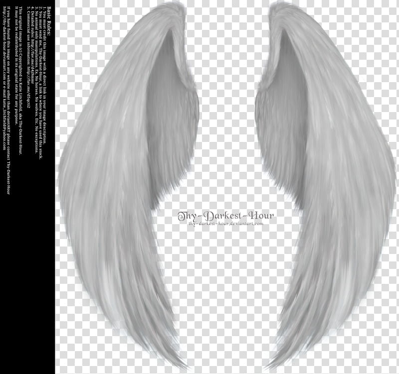 Furred Feathered Wings White, wings illustration transparent background PNG clipart