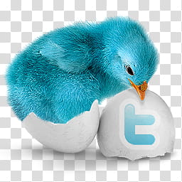 Blue Bird Twitter Icon Pack, bluebird x transparent background PNG clipart