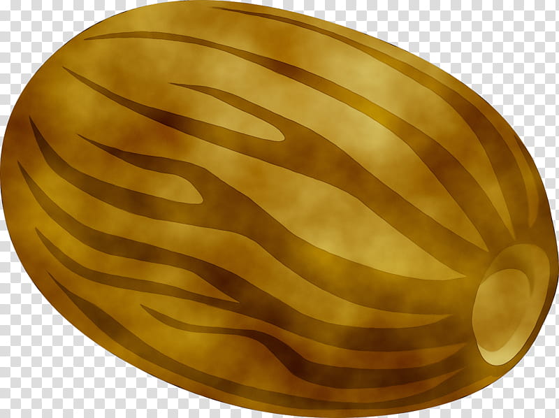 Metal, Nautiluses, Yellow, Plate transparent background PNG clipart