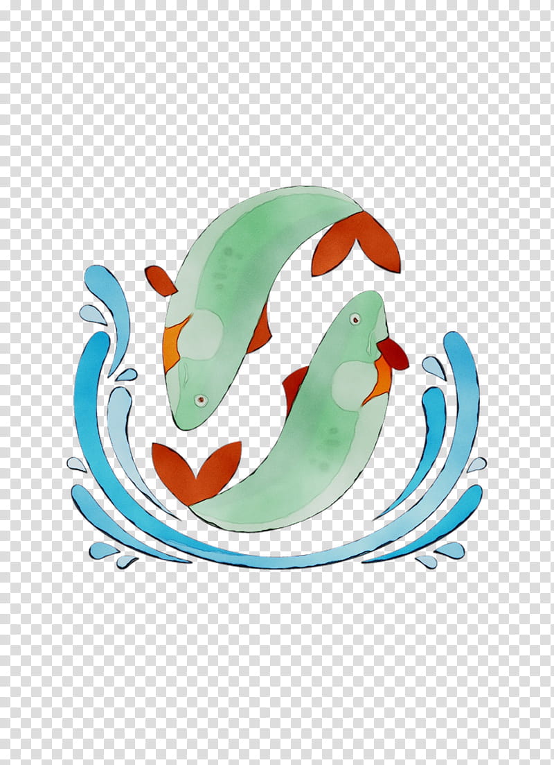 Bird Parrot, Beak transparent background PNG clipart