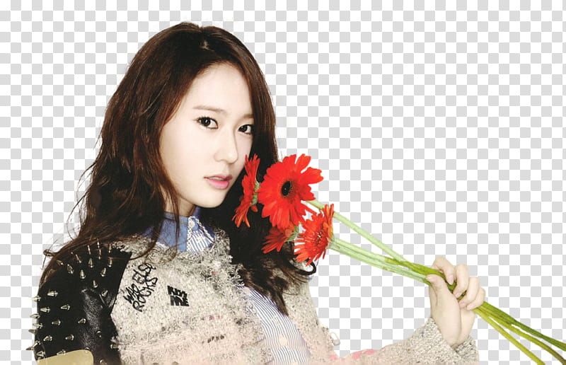 Krystal transparent background PNG clipart Krystal transparent background PNG clipart