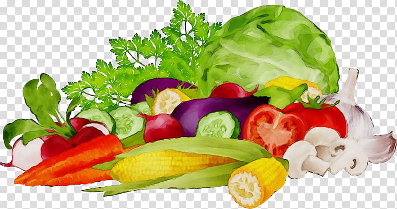 Watercolor Natural, Paint, Wet Ink, Vegetable, Vegetarian Cuisine, Greens, Food, Organic Food transparent background PNG clipart