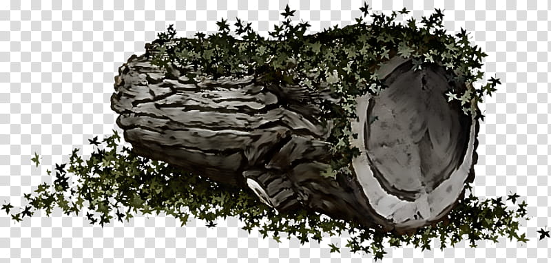 Tree Trunk Drawing, Wood, Grume, Construction En Bois, Rondin De Bois, Plant, Rock transparent background PNG clipart