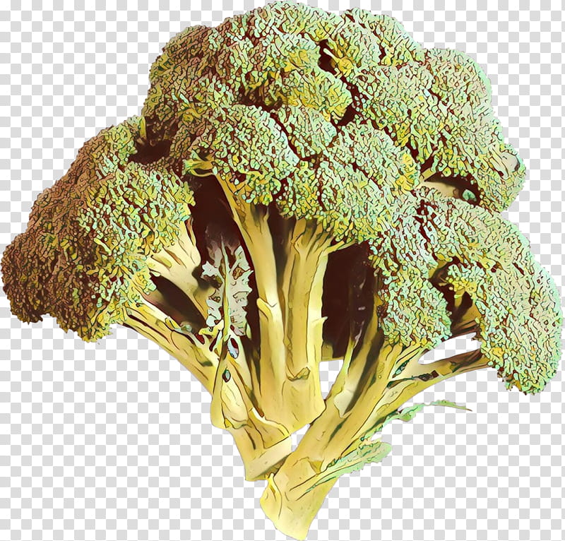 broccoli leaf vegetable vegetable plant food, Broccoflower transparent background PNG clipart