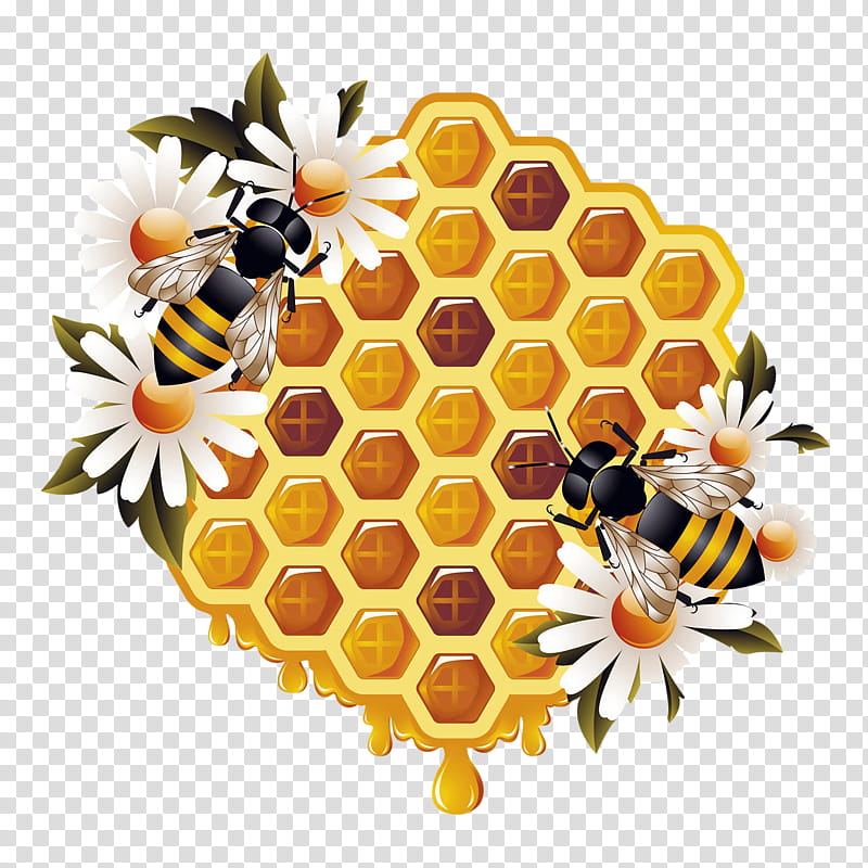Flower Drawing, Western Honey Bee, Beehive, Worker Bee, Beekeeping, Apidae, Queen Bee, Honeycomb transparent background PNG clipart