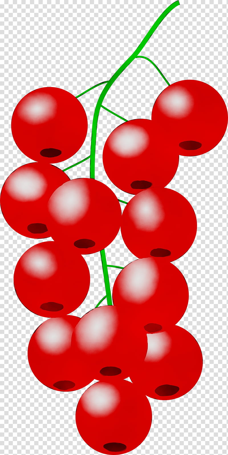 Red Flower, Lingonberry, Cherries, Fruit, Grape, Stxea Nr Eur, Currant, Microsoft PowerPoint transparent background PNG clipart