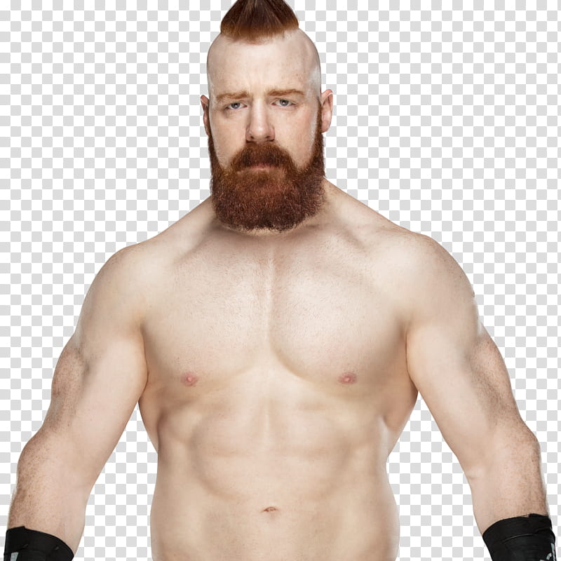 Sheamus New  HD transparent background PNG clipart