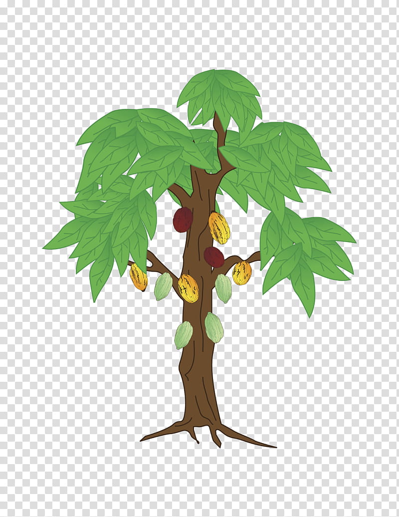 Cartoon Plane, Cacao Tree, Drawing, Cocoa Bean, Fermentation, Cocoa Solids, Plants, Production transparent background PNG clipart