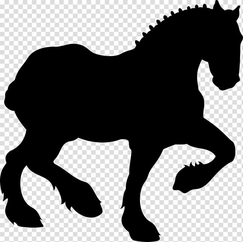 Horse, Mane, Fjord Horse, Mustang, Pony, American Quarter Horse, Appaloosa, Stallion transparent background PNG clipart