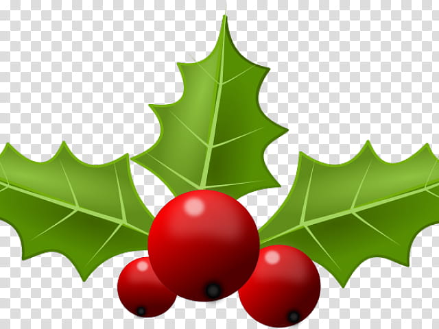 Christmas Tree Drawing, Common Holly, Christmas Day, Leaf, American Holly, Plant, Hollyleaf Cherry, Woody Plant transparent background PNG clipart