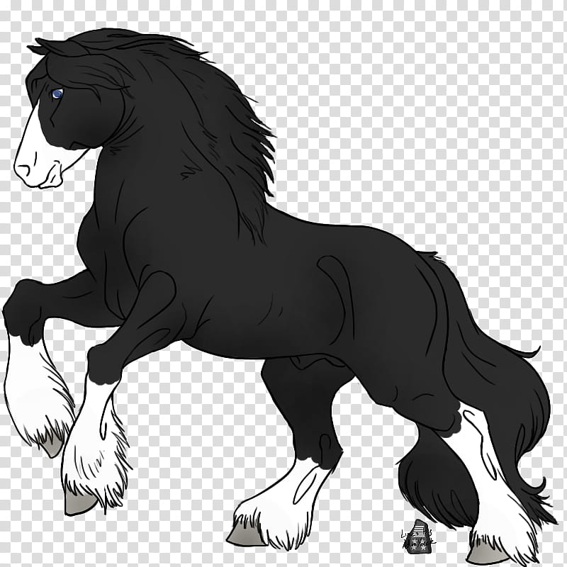 Cat And Dog, Mane, Pony, Gypsy Horse, Mustang, Foal, Cob, Stallion transparent background PNG clipart
