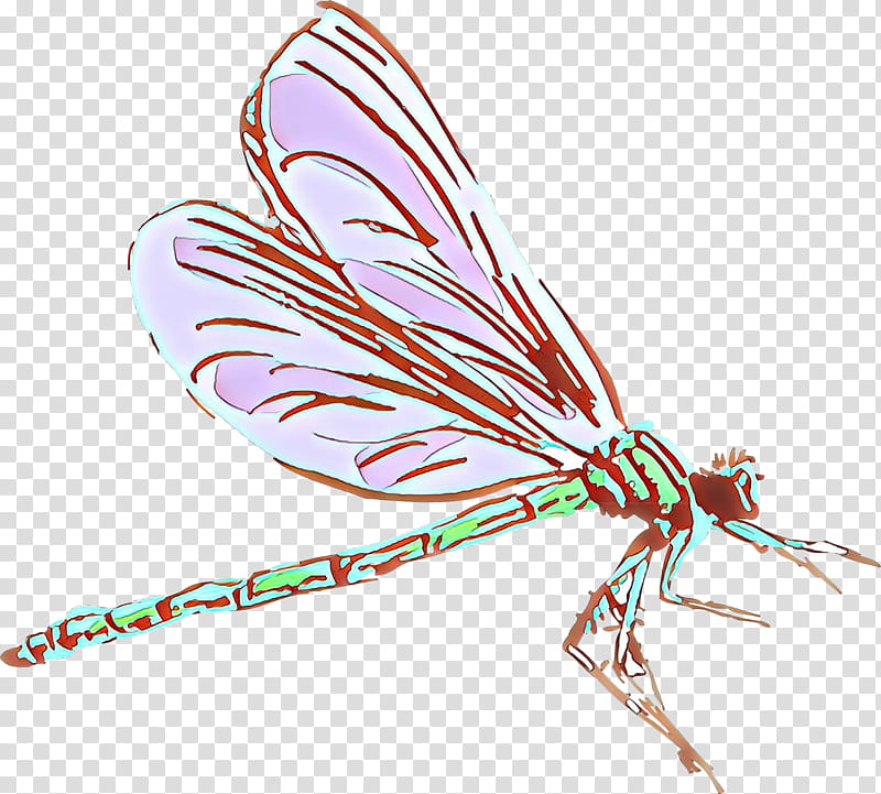 Feather, Cartoon, Insect, Pest, Wing, Dragonflies And Damseflies, Quill, Membranewinged Insect transparent background PNG clipart