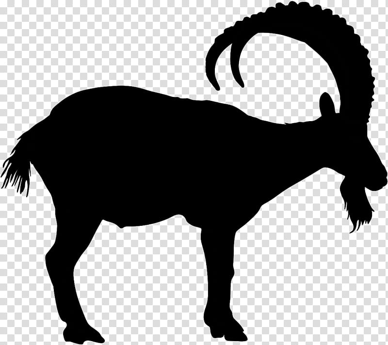 goats horn bighorn snout, Silhouette, Cowgoat Family, Terrestrial Animal, Goatantelope transparent background PNG clipart