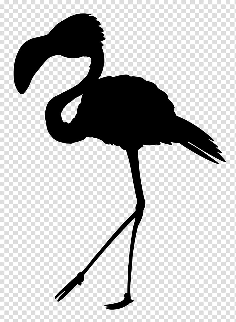 Flamingo Silhouette, Swans, Goose, Beak, Bird, Duck, Water Bird, Greater Flamingo transparent background PNG clipart