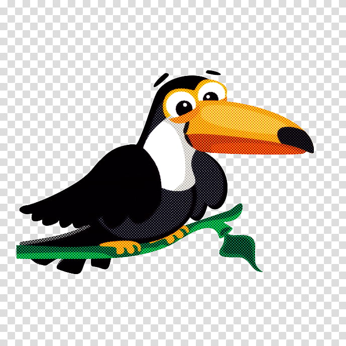 bird toucan beak cartoon piciformes, Hornbill, Puffin, Flightless Bird transparent background PNG clipart