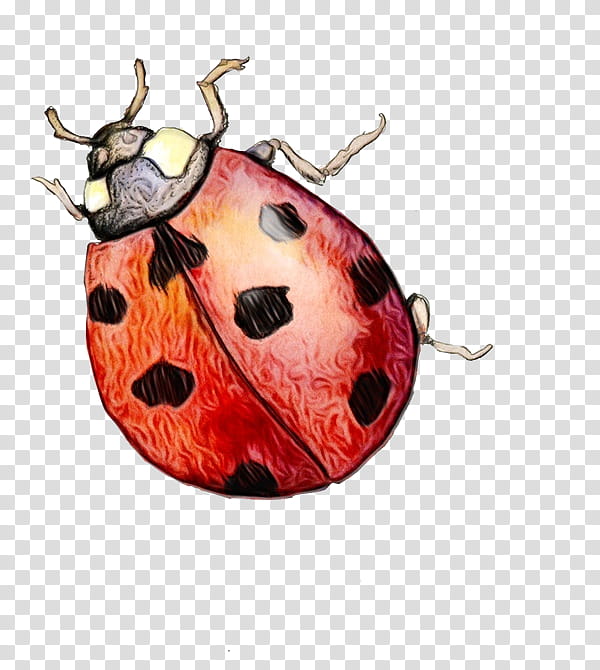 ladybird clipart no spots car