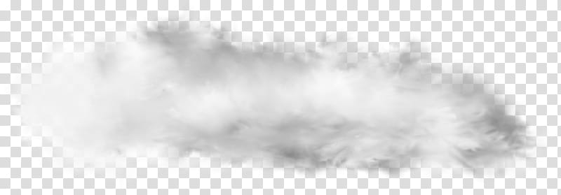 August, Cloud, Fog, Mist, Tree, Geology, August 1, White transparent background PNG clipart