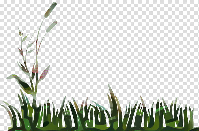 Drawing Of Family, Lawn, BORDERS AND FRAMES, Grass, Vegetation, Plant, Grass Family, Leaf transparent background PNG clipart