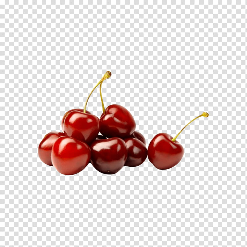 Family Tree, Cherries, Sour Cherry, Sweet Cherry, Tart, Cordial, Cherry Pie, Fruit transparent background PNG clipart