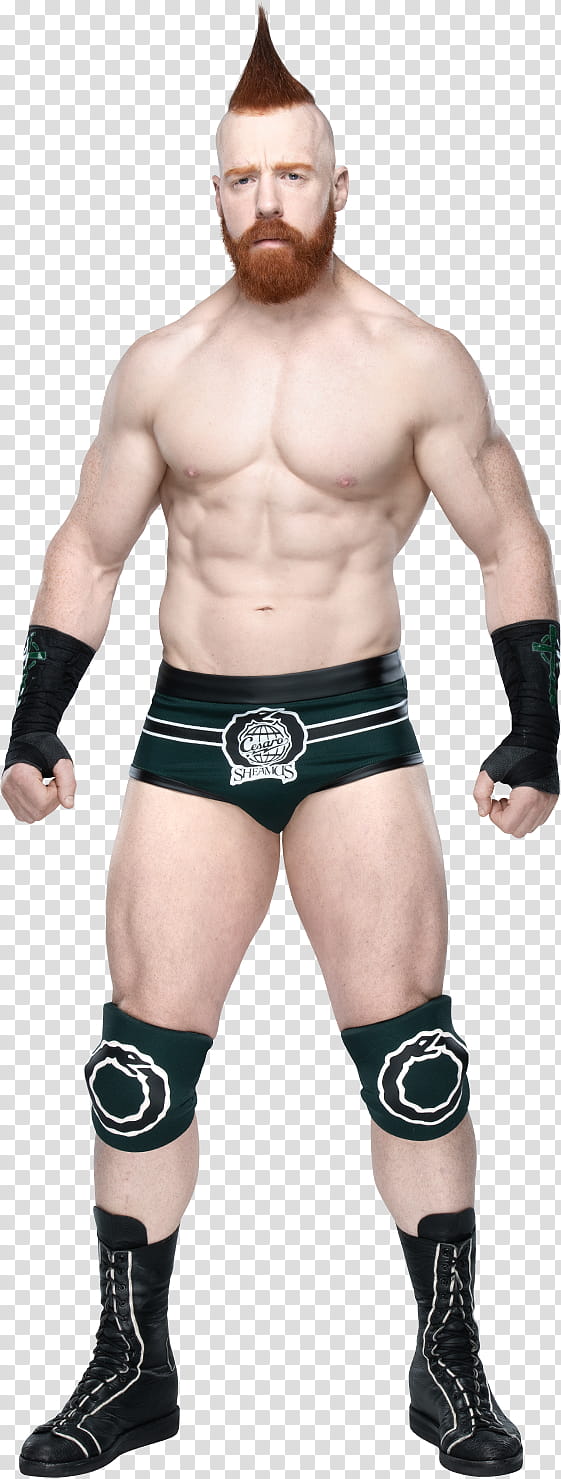 Sheamus () Stats transparent background PNG clipart