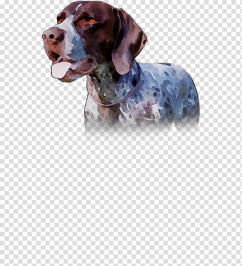 Cartoon Dog, Breed, Spaniel, Crossbreed, Sporting Group, German Shorthaired Pointer, Rare Breed Dog, Braque Francais transparent background PNG clipart