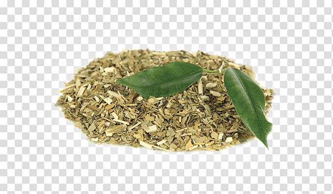 Green tea, Mate, Yerba Mate, Drink, Bombilla, Ilex Guayusa, Bay Leaf, Herb transparent background PNG clipart