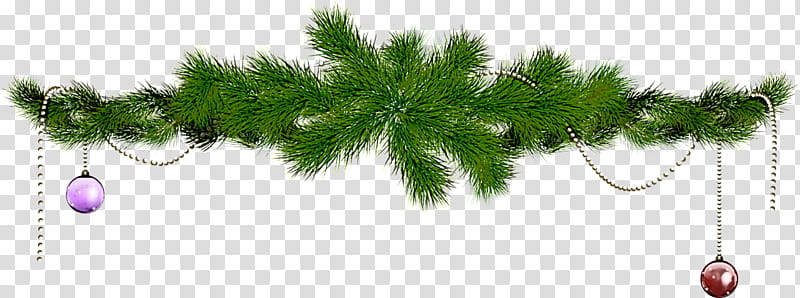 white pine tree plant american larch leaf, Woody Plant, Grass, Jack Pine, Red Pine, Pine Family transparent background PNG clipart