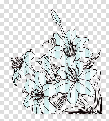 blue and black lily flower illustration transparent background PNG clipart