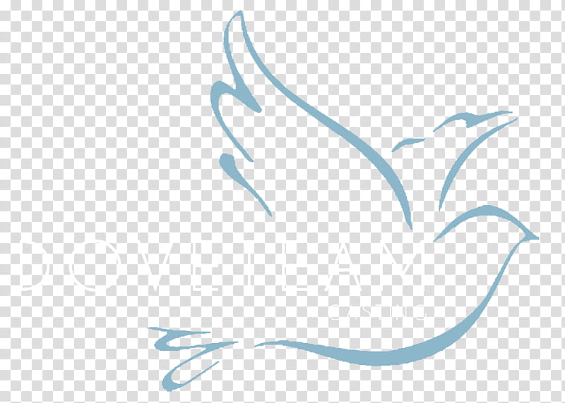 Pencil, Pigeons And Doves, Drawing, Painting, Line Art, White, Logo transparent background PNG clipart