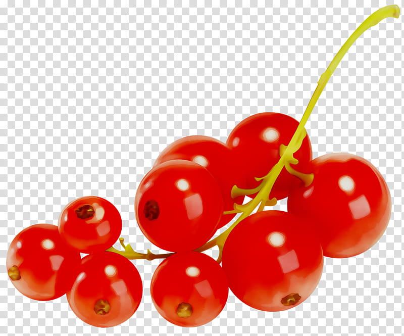 Oil, Sea Buckthorns, Redcurrant, Fruit, Berries, Sea Buckthorn Oil, Cherry, Plant transparent background PNG clipart