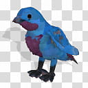 Spore creature Lovely Cotinga male transparent background PNG clipart