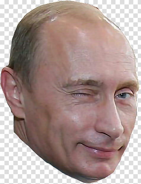 Donald Trump, Vladimir Putin, Russia, Journalist, President Of Russia, News, Wink, KGB transparent background PNG clipart