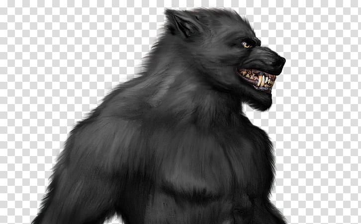 Gorilla, Wolf, Werewolf, Michigan Dogman, Black Wolf, Drawing, Furry Fandom, Human transparent background PNG clipart