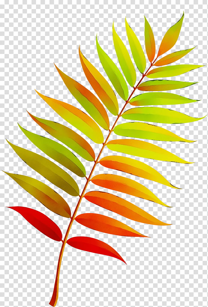 Autumn Leaf Drawing, Watercolor, Paint, Wet Ink, Tree, Autumn Leaf Color, Season, Abscission transparent background PNG clipart