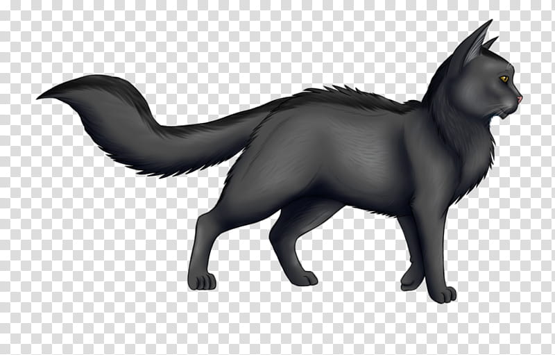 Dog And Cat, Warriors, Erin Hunter, Graystripe, Digital Art, Artist, Whiskers, Halftail transparent background PNG clipart