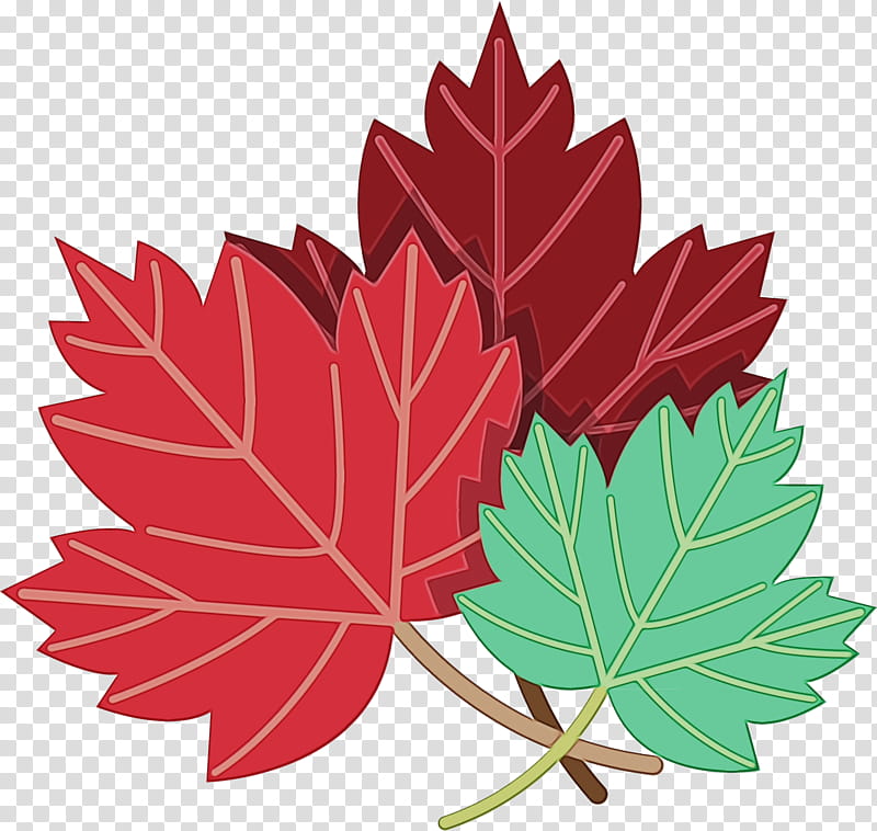 Canada Maple Leaf, Watercolor, Paint, Wet Ink, Toronto Maple Leafs, Red Maple, Rocky Mountain Maple, Autumn Leaf Color transparent background PNG clipart