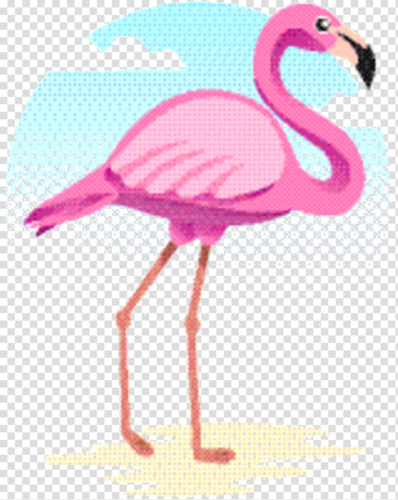 Pink Flamingo, Pink M, Beak, Bird, Greater Flamingo, Water Bird, Wildlife transparent background PNG clipart