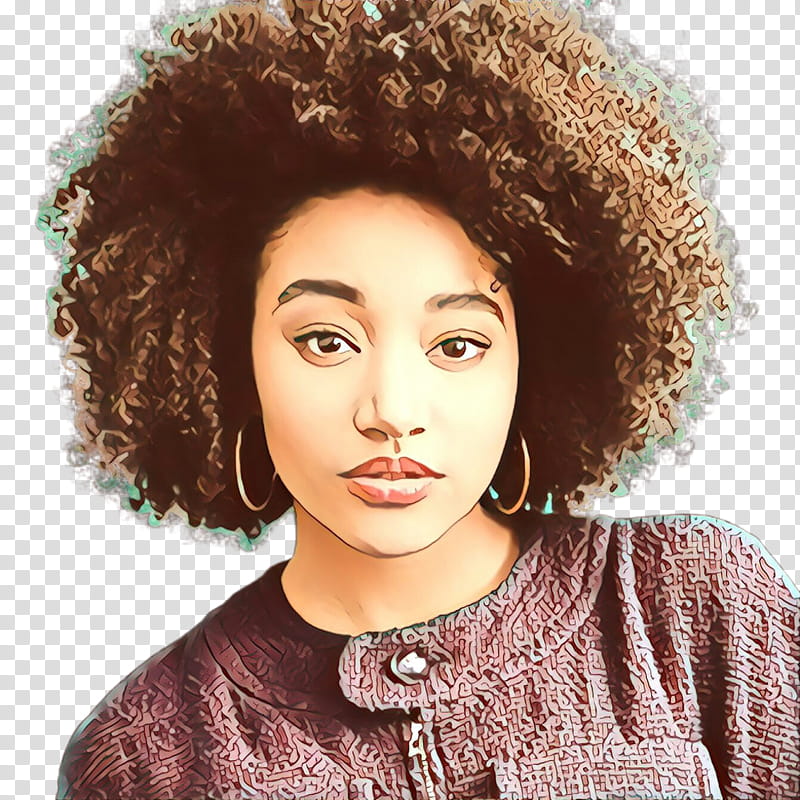 hair face hairstyle afro eyebrow, Cartoon, Jheri Curl, Chin, Brown, Forehead, Lip transparent background PNG clipart