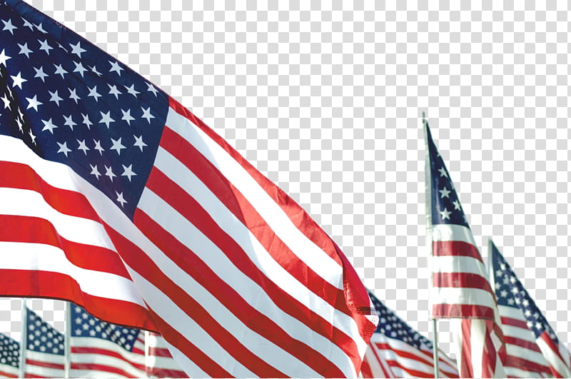 Veterans Day Happy Holiday, 4th Of July , Happy 4th Of July, Independence Day, Fourth Of July, Celebration, American, Memorial Day transparent background PNG clipart