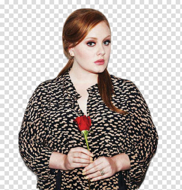 Adele transparent background PNG clipart