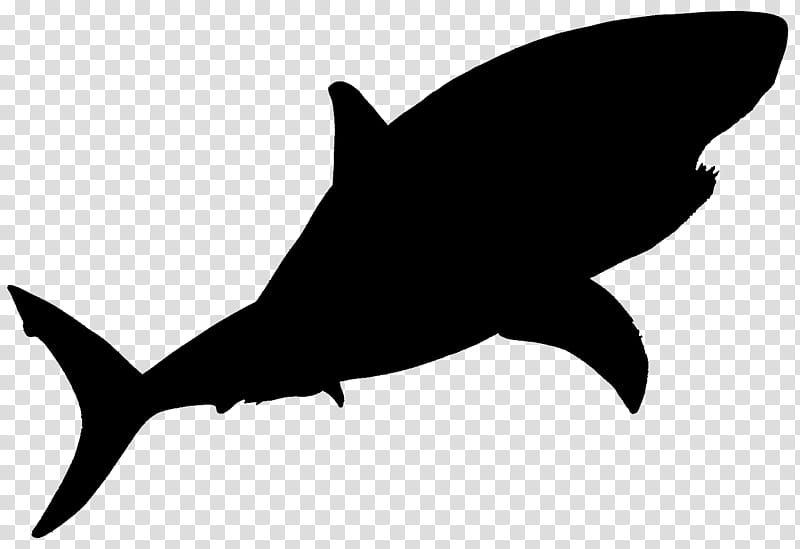 Great White Shark, Silhouette, Fish, Fin, Cartilaginous Fish, Lamniformes, Requiem Shark, Lamnidae transparent background PNG clipart